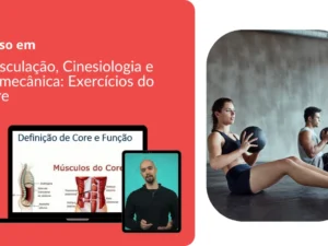 Musculação, Cinesiologia e Biomecânica: Exercícios do Core