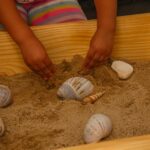 WhatsApp Image 2026-02-11 at 15.33.32 (1)