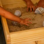 WhatsApp Image 2026-02-11 at 15.33.35