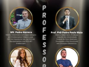 VI CURSO RÁPIDO DE ENDOSCOPIA DIGESTIVA, RESPIRATÓRIA E OTOLÓGICA