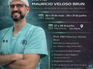 Curso de Toracoscopia do básico ao avançado